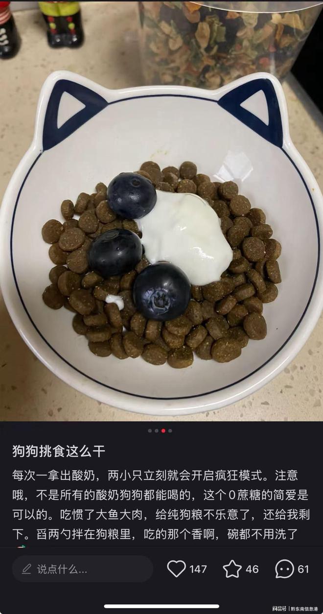 配方”撬动萌宠经济与母婴信任双赛道麻将胡了试玩平台简爱酸奶以“纯净(图2)