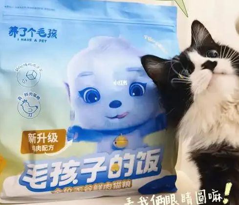子口粮！三只松鼠靠什么重返宠物食品赛道PG麻将胡了2模拟器零食巨头盯上毛孩(图2)