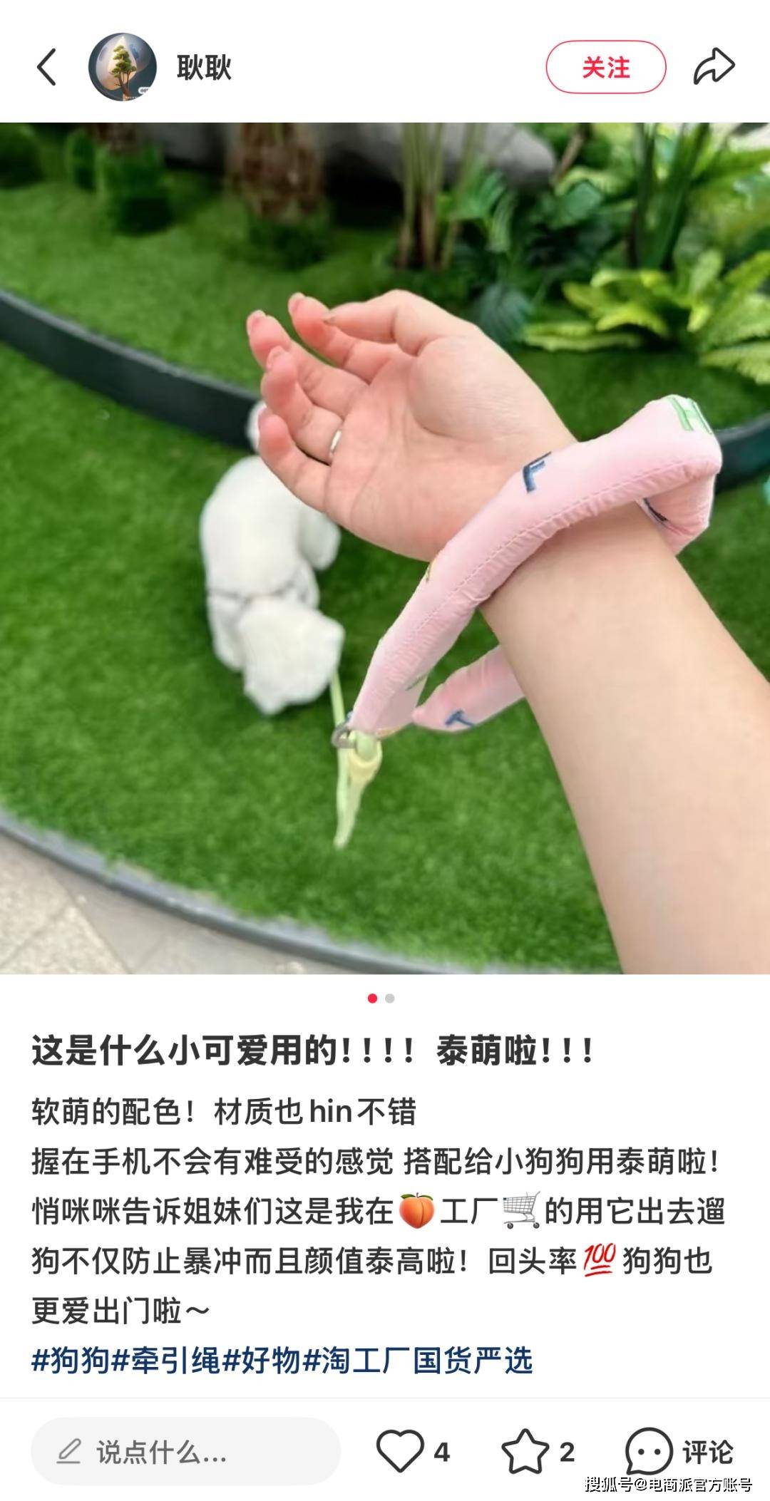 潮流大批“毛孩子”家长涌入淘工厂麻将胡了游戏“携宠出游”掀起新(图6)