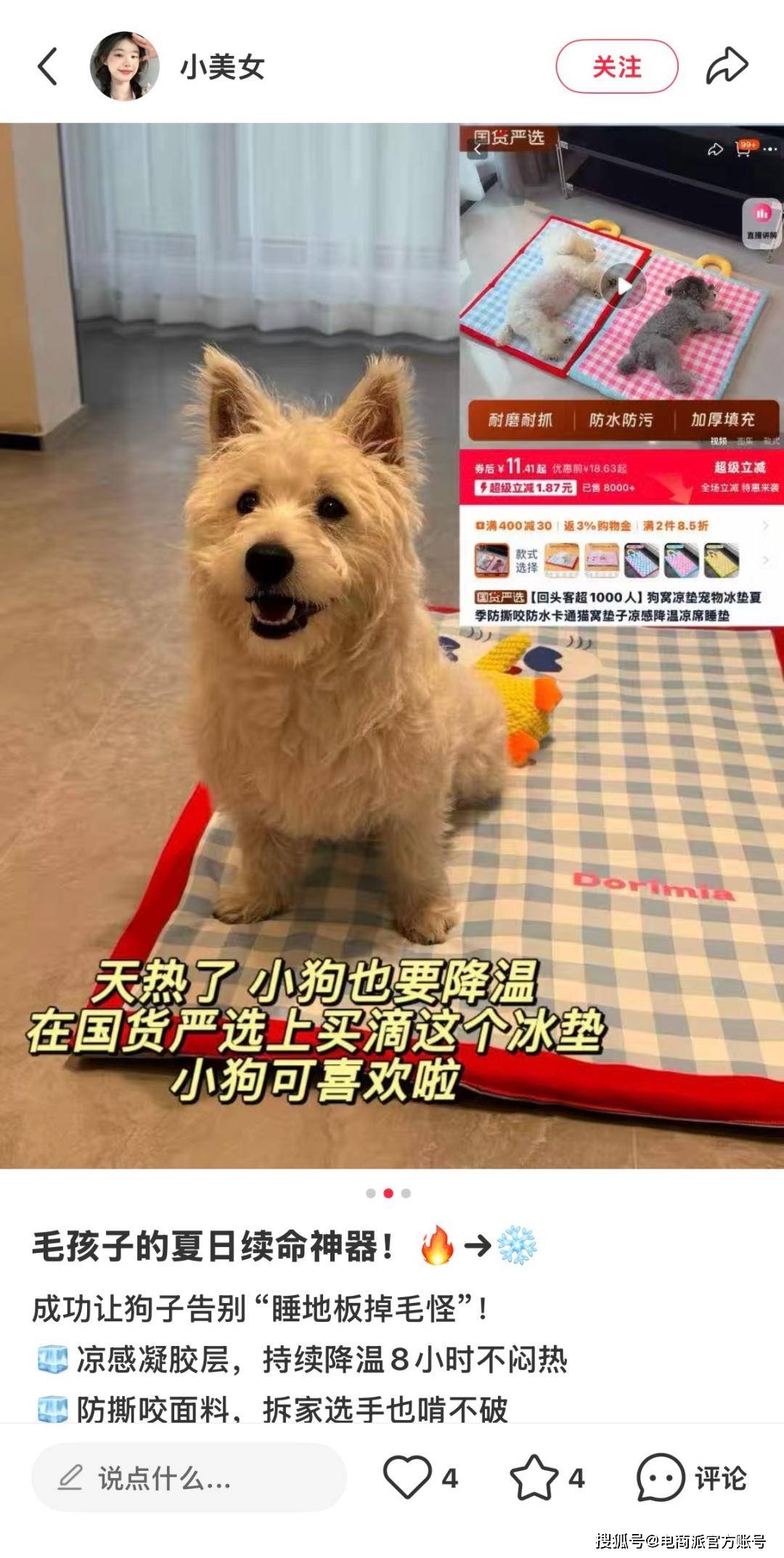 潮流大批“毛孩子”家长涌入淘工厂麻将胡了游戏“携宠出游”掀起新(图8)
