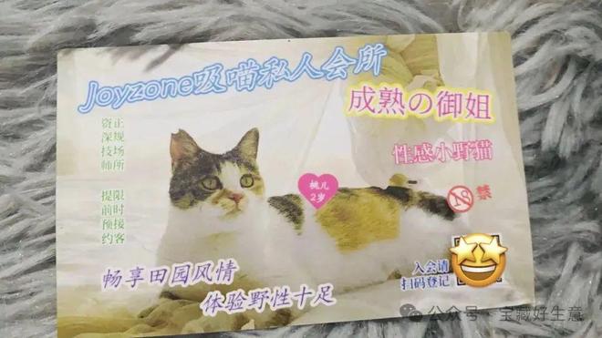 个新消费品从业者的五年创业思考麻将胡了2
