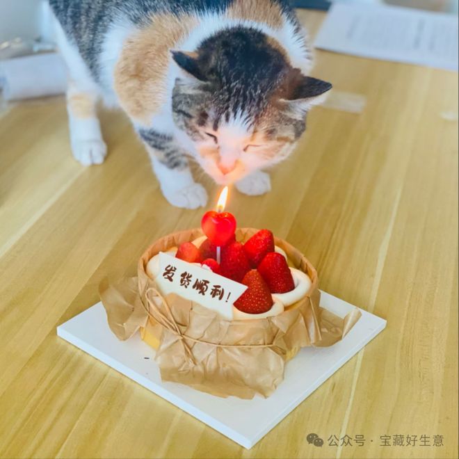 个新消费品从业者的五年创业思考麻将胡了2模拟器试玩深度 一(图10)