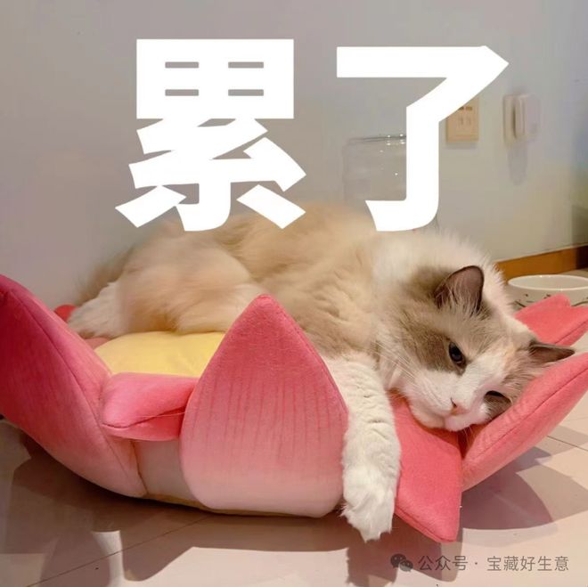 个新消费品从业者的五年创业思考麻将胡了2模拟器试玩深度 一(图6)