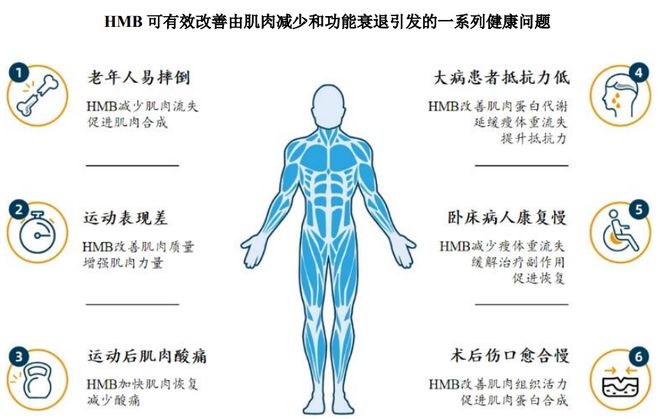 团：扎根运动健康赛道凭多元布局赢长远未来麻将胡了试玩模拟器HMB全球龙头技源集(图9)