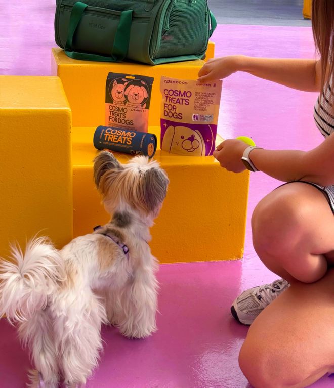 opet宠物零食以昆虫蛋白开辟全新赛道麻将胡了模拟器试玩中俄联合品牌cosm(图2)