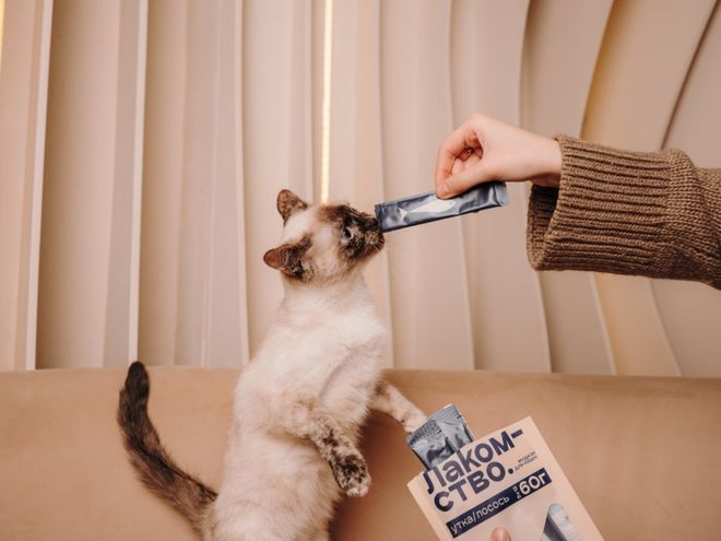 opet宠物零食以昆虫蛋白开辟全新赛道麻